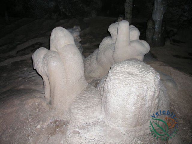 Naturpark Velebit 40